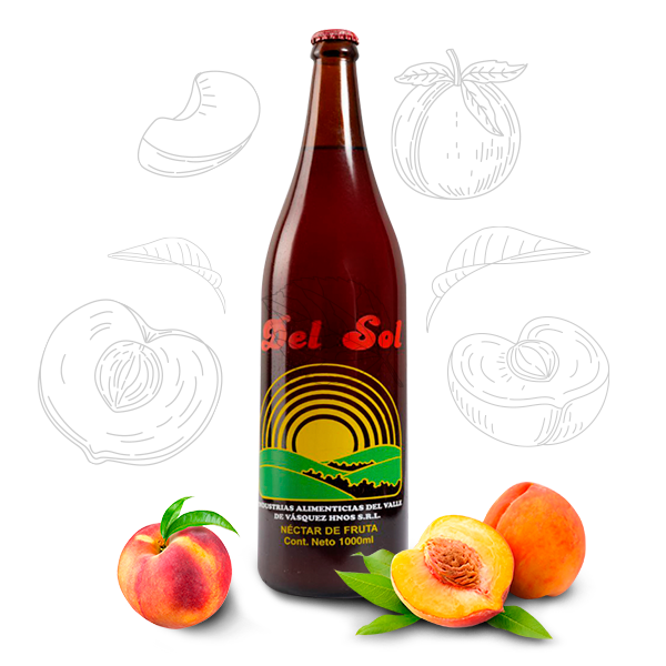 JUGO DEL VALLE 300mL